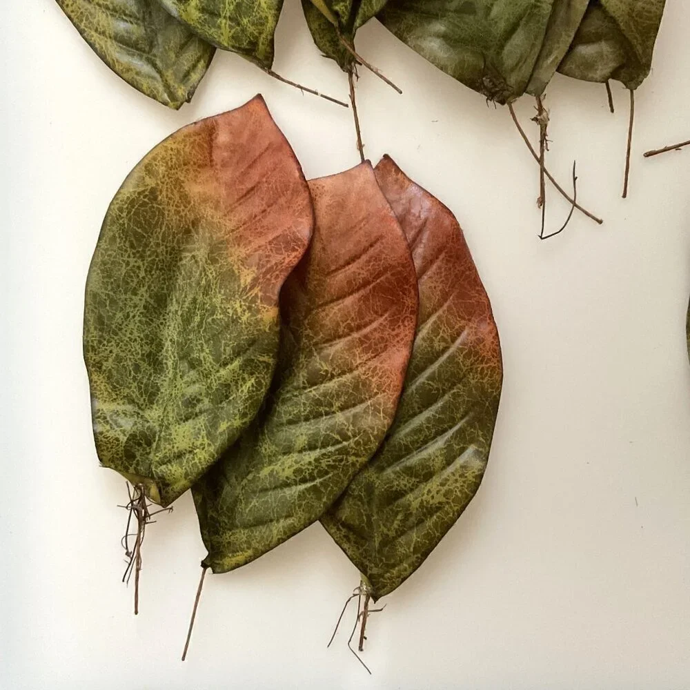 MAGNOLIA BIG LEAVES  DIY BUNDLE CRAFTS HOME DECOR 30 LEAVES 4 BRANCHES
